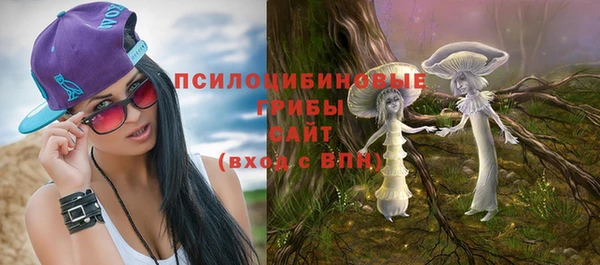 шишки Балабаново