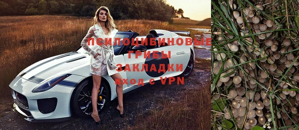 шишки Балабаново