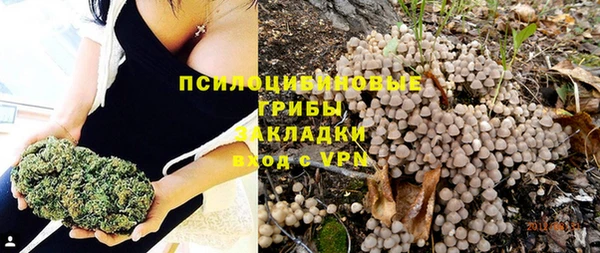 шишки Балабаново