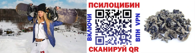 Псилоцибиновые грибы GOLDEN TEACHER Воскресенск